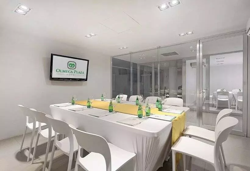 Fotos del hotel Olmeca Plaza:  19