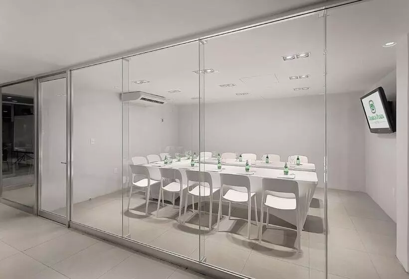 Fotos del hotel Olmeca Plaza:  7