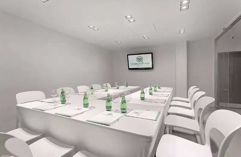 Fotos del hotel Olmeca Plaza:  16