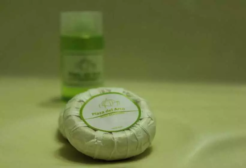 Fotos del hotel Plaza Del Arco  Monterrey:  14