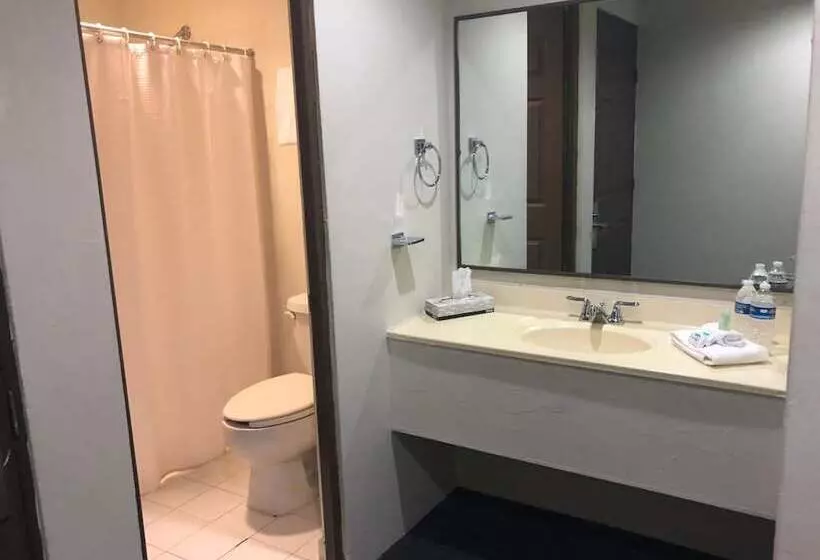 Fotos del hotel Plaza Del Arco  Monterrey:  19