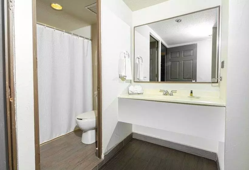 Fotos del hotel Plaza Del Arco  Monterrey:  13