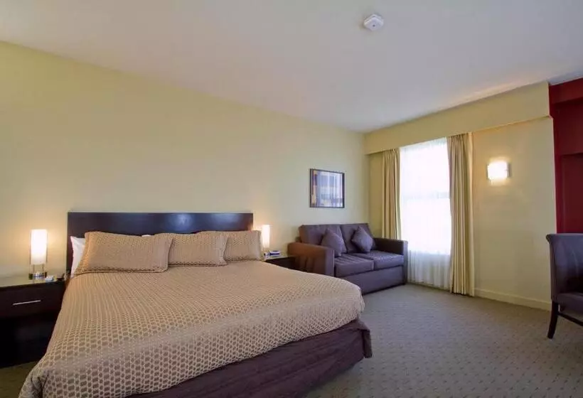 Fotos del hotel Comfort Inn & Suites City Views:  11