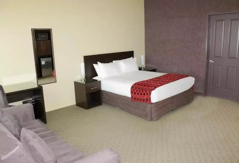 Fotos del hotel Comfort Inn & Suites City Views:  4