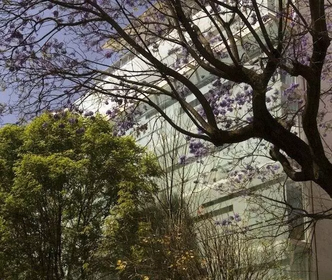 Fotos del hotel Habita:  8