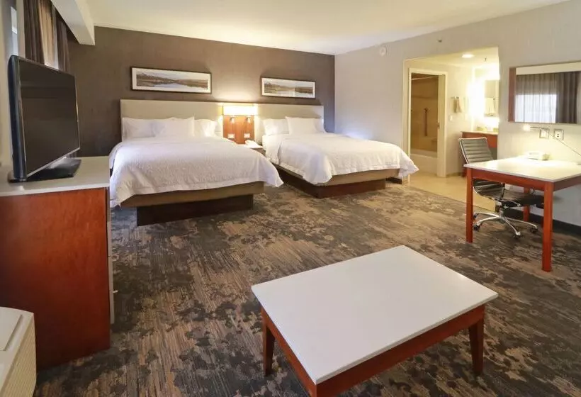 Fotos del hotel Hampton Inn By Hilton Chihuahua City:  13