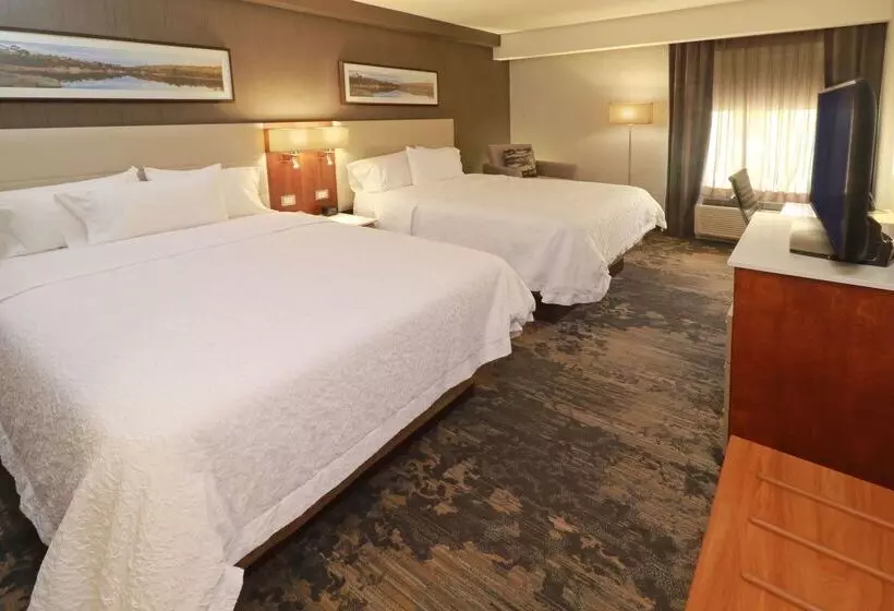 Fotos del hotel Hampton Inn By Hilton Chihuahua City:  19