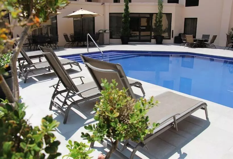 Fotos del hotel Hampton Inn By Hilton Chihuahua City:  2