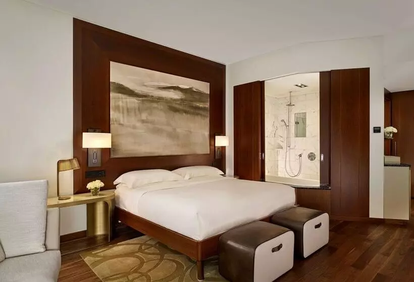 Fotos del hotel Park Hyatt Zurich – City Center Luxury:  3