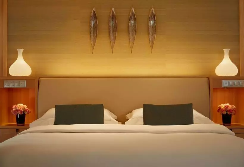 Fotos del hotel Park Hyatt Zurich – City Center Luxury:  15