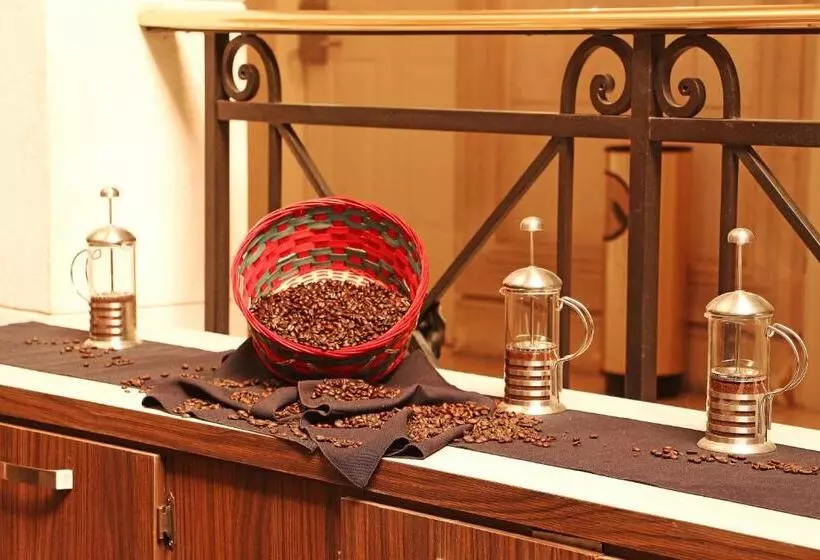 Fotos del hotel Plaza De Oro:  11