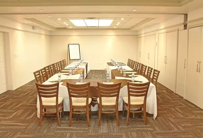 Fotos del hotel Plaza De Oro:  10