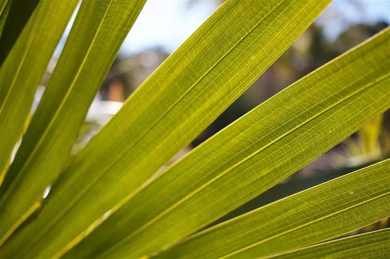 Fotos del hotel Fairway Motor Inn:  11