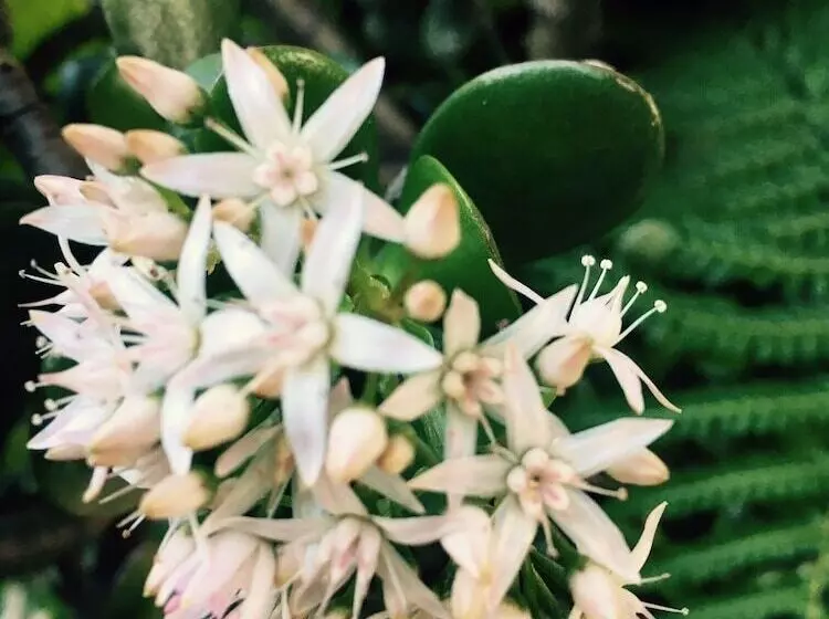 Fotos del hotel Fairway Motor Inn:  16