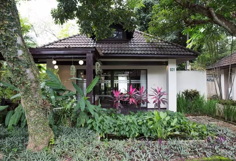 Fotos del hotel Eurasia Chiang Mai:  15