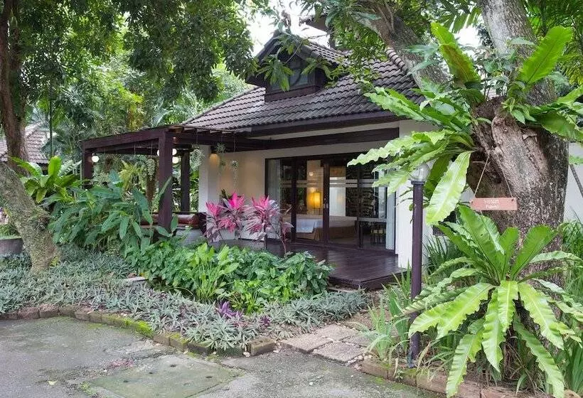 Fotos del hotel Eurasia Chiang Mai:  24