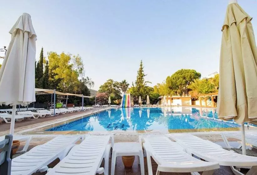 Fotos del hotel Pigale Family Club:  20