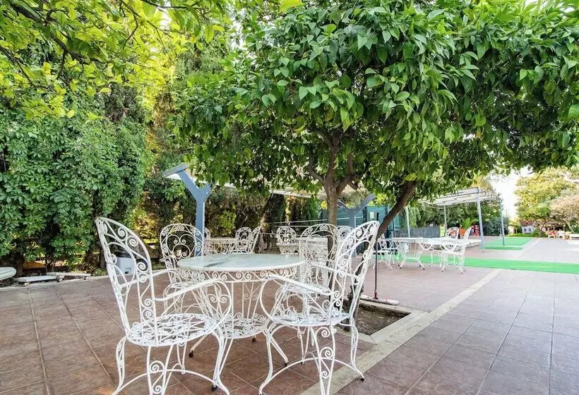 Fotos del hotel Pigale Family Club:  6