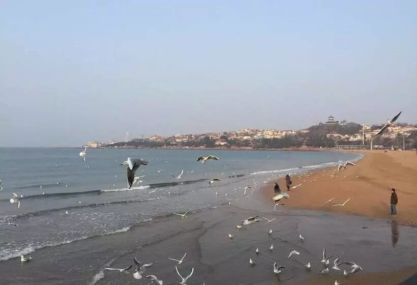 Fotos del hotel Qingdao Donghai:  17