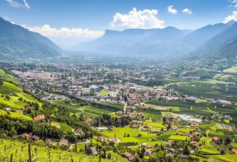 Fotos del hotel Flora  & Suites:  13