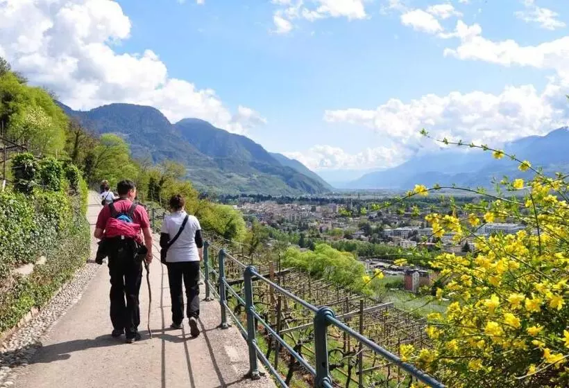 Fotos del hotel Flora  & Suites:  17