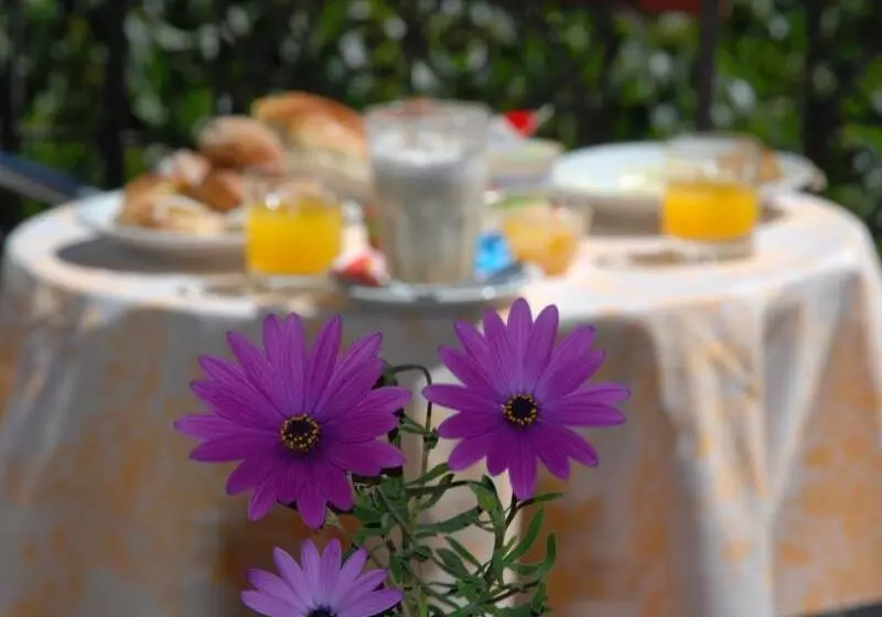 Fotos del hotel Del Centro:  18