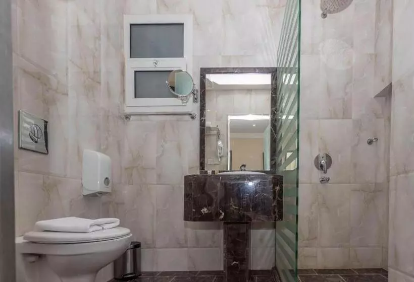 Fotos del hotel Hayat Al Riyadh:  47