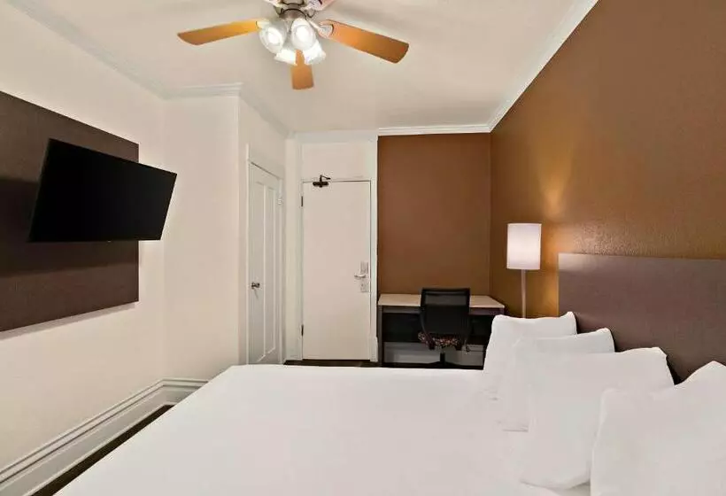 Fotos del hotel Mithila Hotel:  22