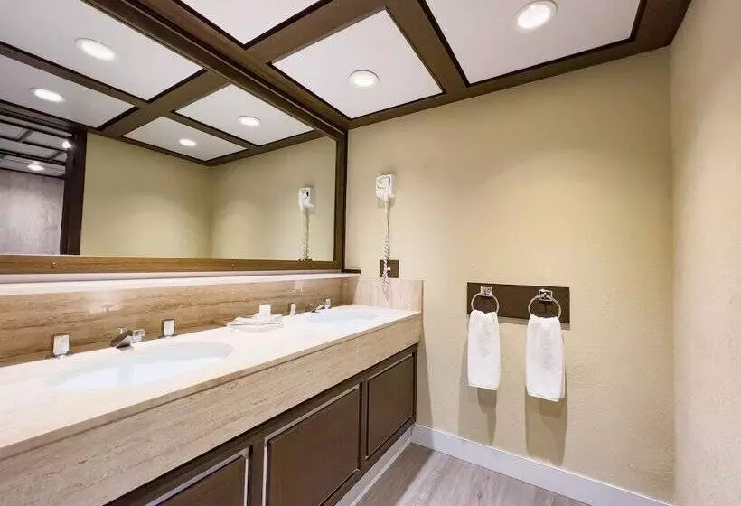 Fotos del hotel Ramada By Wyndham Mexico City Reforma:  10