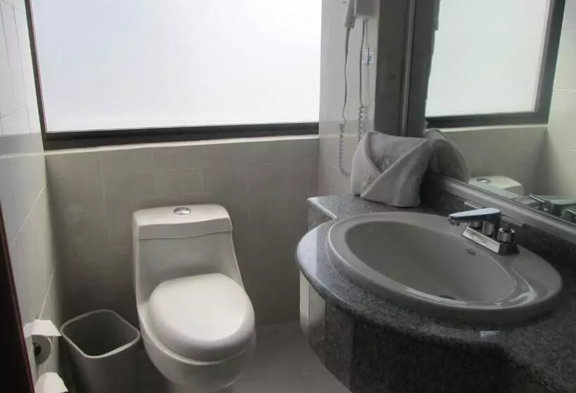 Fotos del hotel Premier:  7