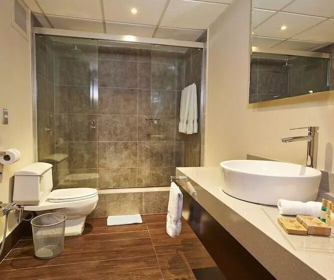 Fotos del hotel Sol De Oro  & Suites:  11