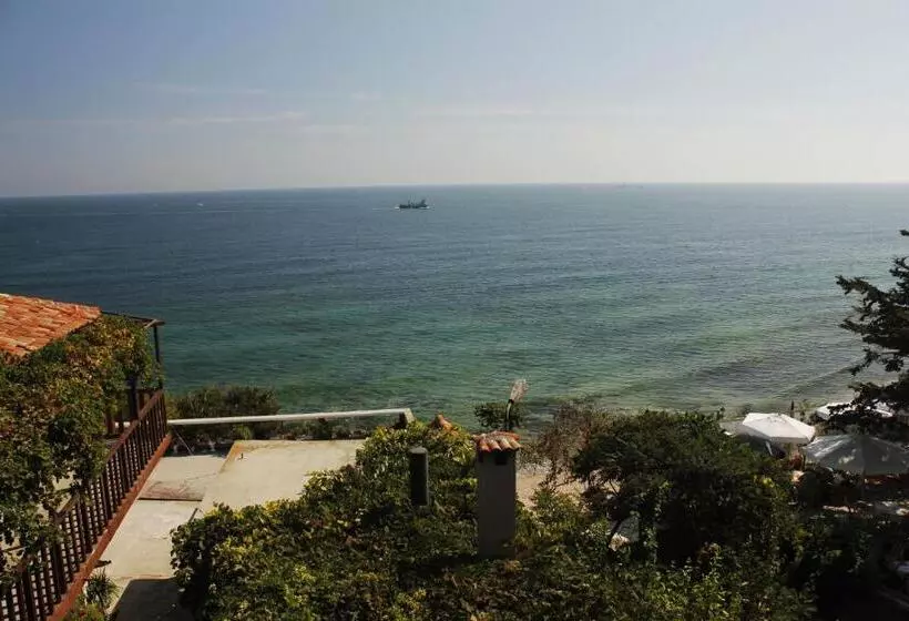 Fotos del hotel Boutique  St. Stefan:  15