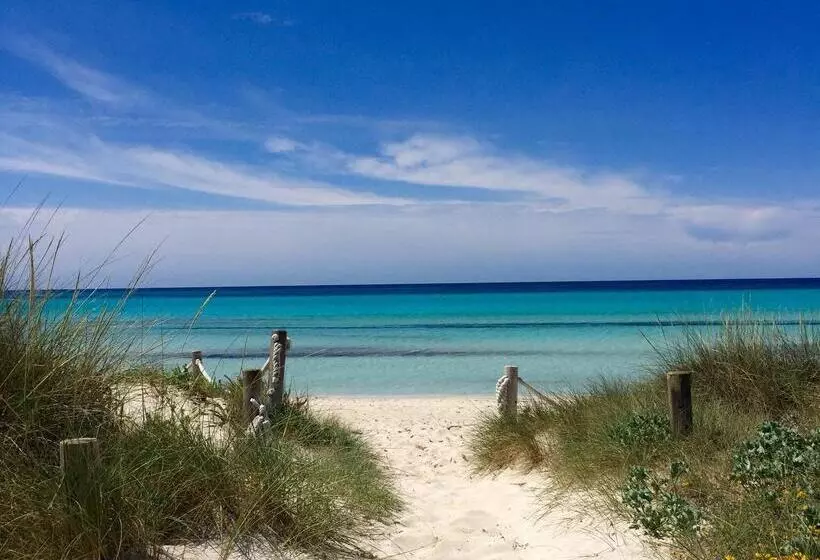 Fotos del hotel blau colònia sant jordi:  61