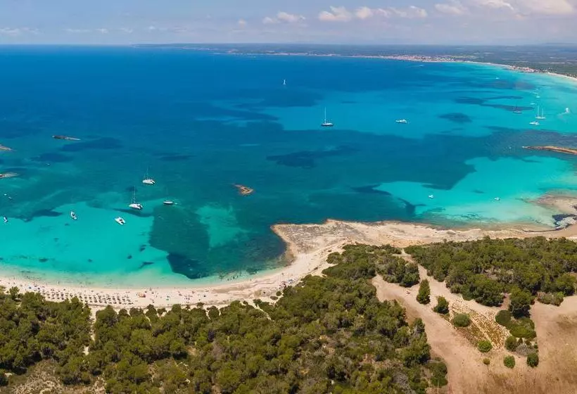 Fotos del hotel blau colònia sant jordi:  55