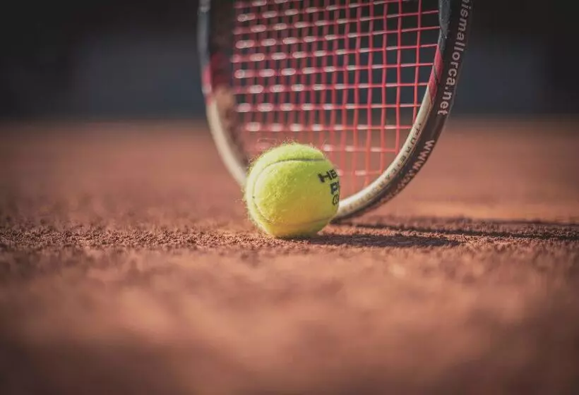 Fotos del hotel blau colònia sant jordi:  8