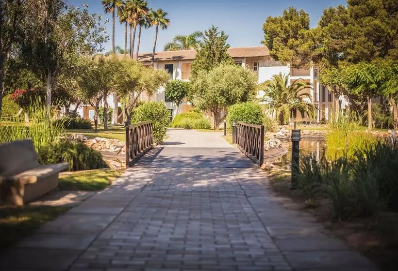 Fotos del hotel blau colònia sant jordi:  117