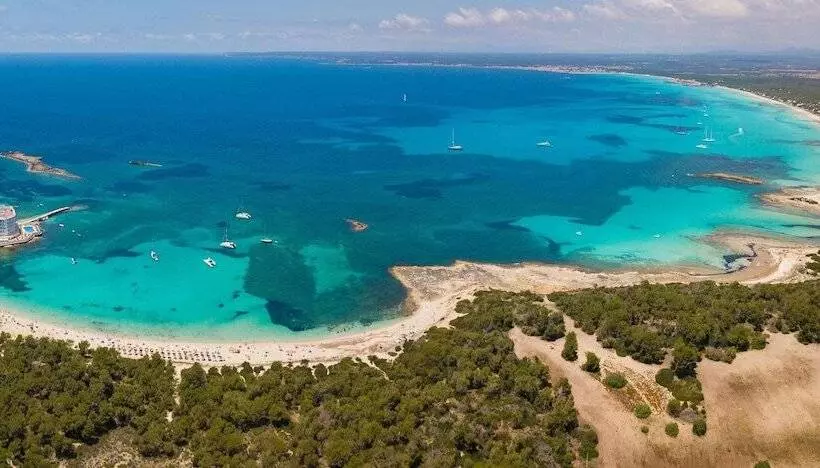 Fotos del hotel blau colònia sant jordi:  63