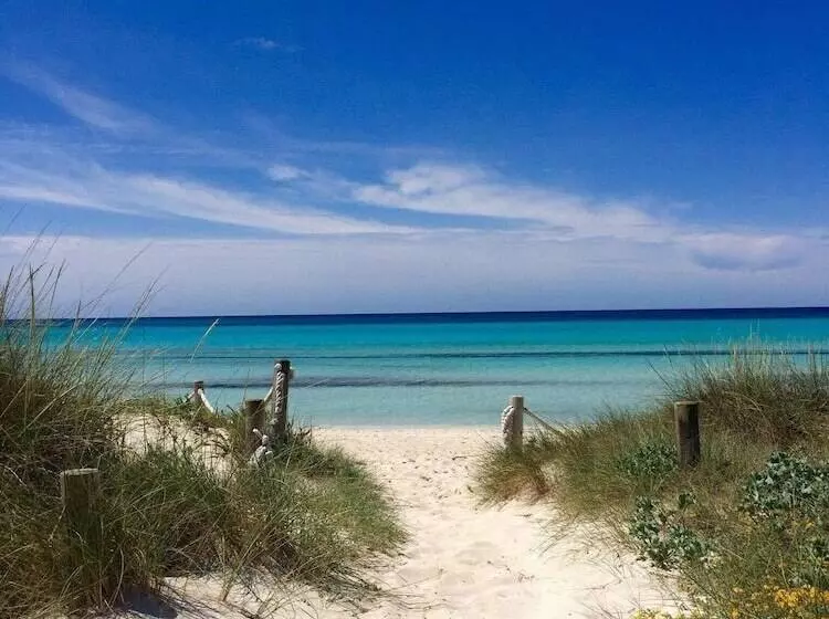 Fotos del hotel blau colònia sant jordi:  58