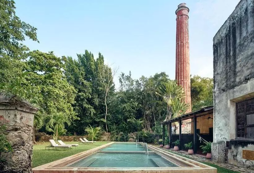 Fotos del hotel Hacienda Santa Rosa A Luxury Collection:  19