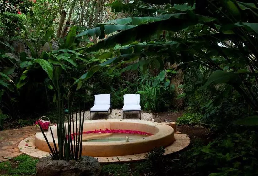 Fotos del hotel Hacienda Santa Rosa A Luxury Collection:  23