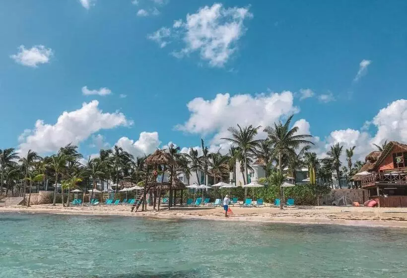 Margaritaville Island Reserve Riviera Cancun, By Karisma  All Inclusive