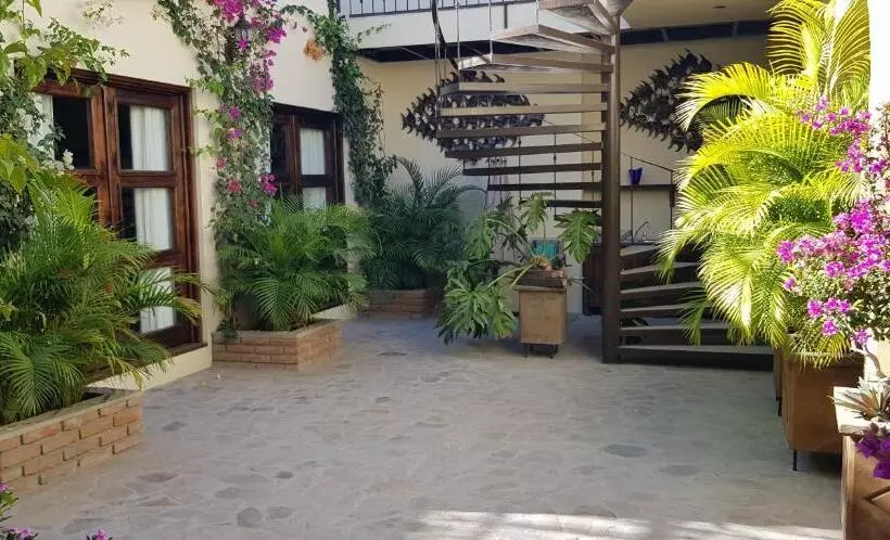 Fotos del hotel Posada De Las Flores La Paz:  19