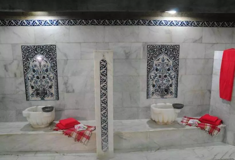 Fotos del hotel Grand Ata Park:  17