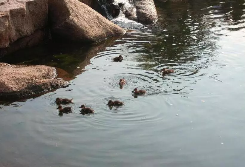 Fotos del hotel Bagaglino I Giardini Di Porto Cervo:  4