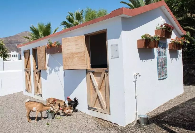 Fotos del hotel Club Jandía Princess - All Inclusive:  33