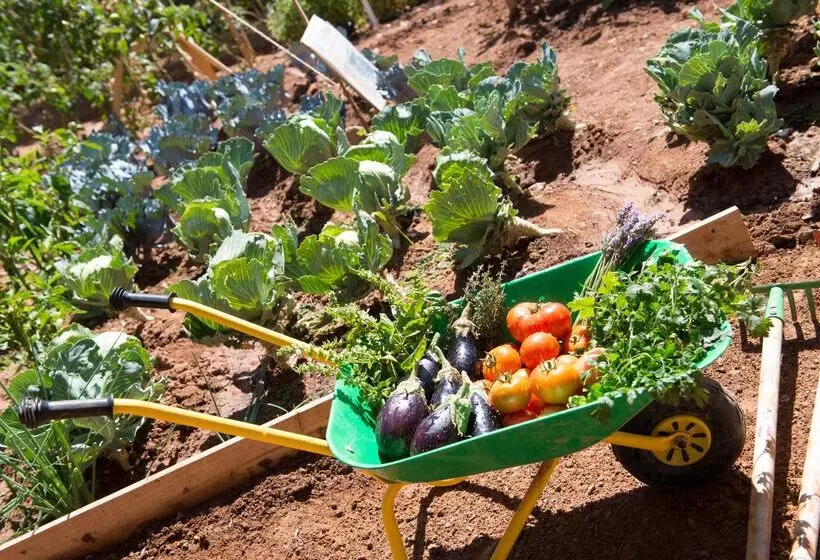 Fotos del hotel Club Jandía Princess - All Inclusive:  12