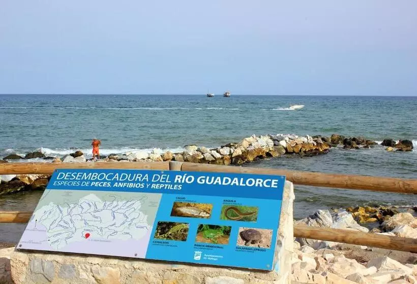 Fotos del hotel Malaga Picasso:  23