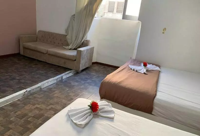 Fotos del hotel Velvet 1889:  4