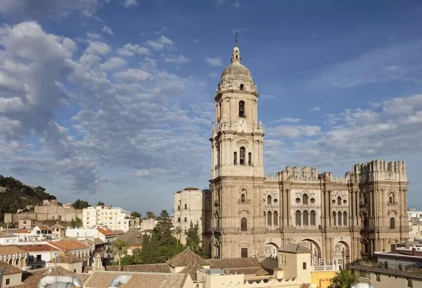 Fotos del hotel Petit Palace Plaza Málaga:  18
