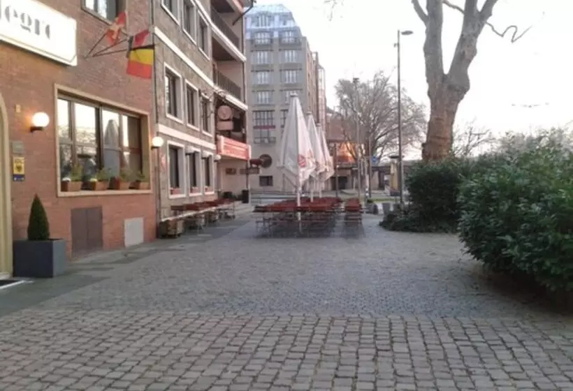 Fotos del hotel Allegro:  4